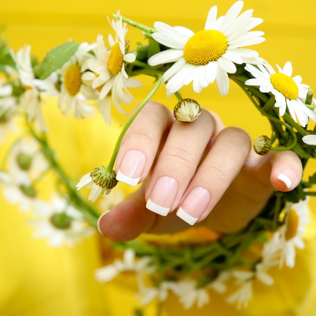  Backscratchers Tip Application and Extreme Acrylic Dip Course 